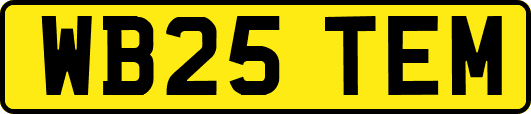 WB25TEM