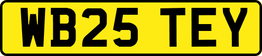 WB25TEY