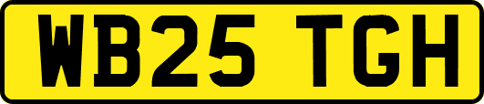 WB25TGH