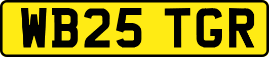 WB25TGR