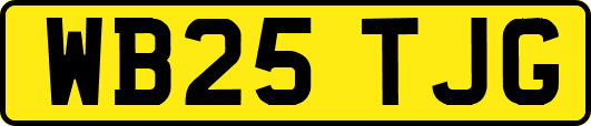 WB25TJG
