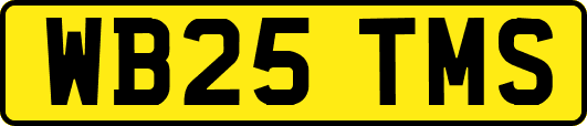 WB25TMS