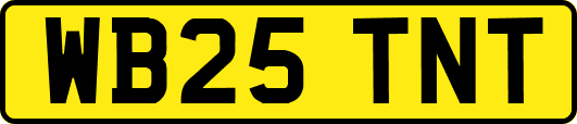 WB25TNT