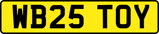 WB25TOY