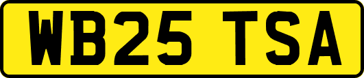 WB25TSA