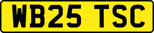WB25TSC