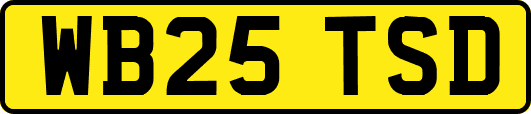 WB25TSD