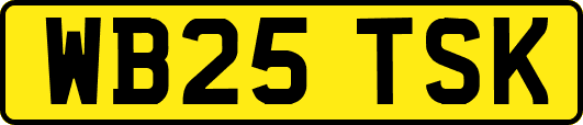 WB25TSK