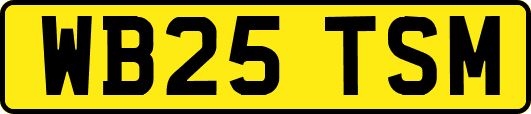 WB25TSM