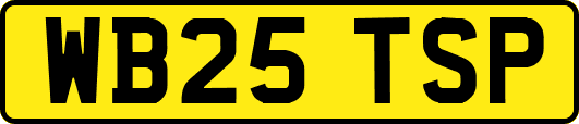WB25TSP