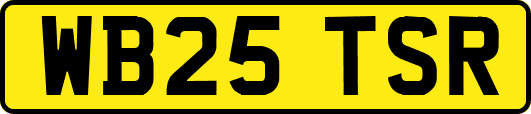 WB25TSR