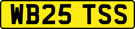 WB25TSS