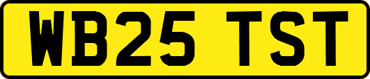 WB25TST