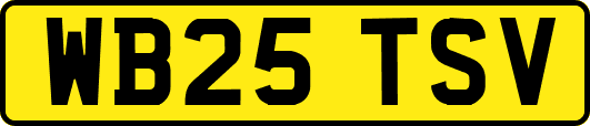 WB25TSV