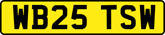 WB25TSW