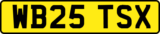 WB25TSX
