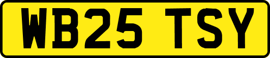 WB25TSY