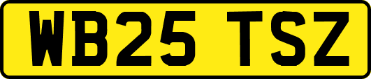 WB25TSZ
