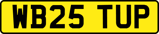 WB25TUP