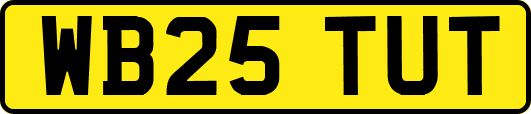 WB25TUT