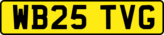 WB25TVG