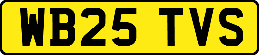 WB25TVS