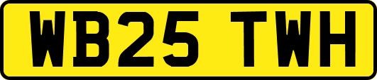 WB25TWH