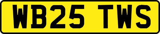 WB25TWS