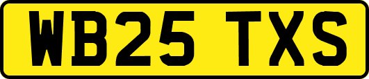 WB25TXS