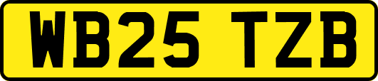 WB25TZB