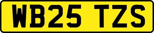 WB25TZS