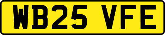 WB25VFE