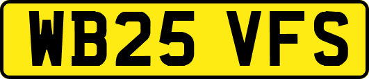 WB25VFS