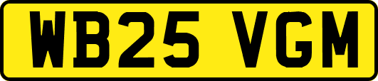 WB25VGM