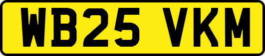 WB25VKM
