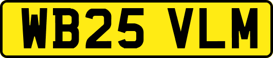 WB25VLM