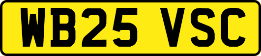 WB25VSC