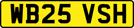 WB25VSH