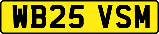 WB25VSM
