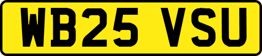 WB25VSU