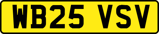 WB25VSV