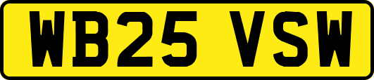 WB25VSW