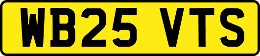 WB25VTS