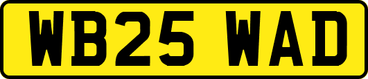 WB25WAD