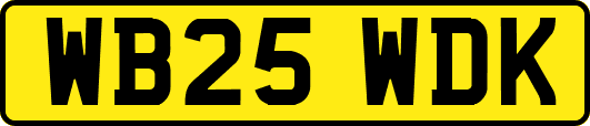 WB25WDK
