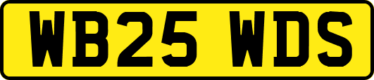 WB25WDS