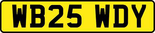 WB25WDY