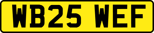 WB25WEF