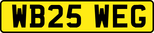 WB25WEG