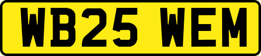 WB25WEM
